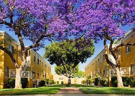 2 Bedroom Condo With A View Near The Grove Los Angeles Exteriör bild